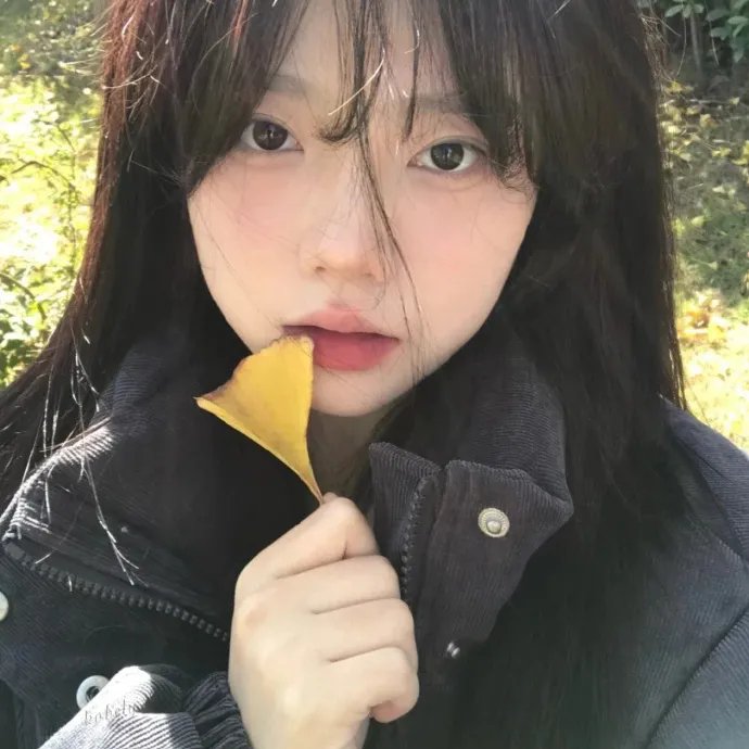 天网情网